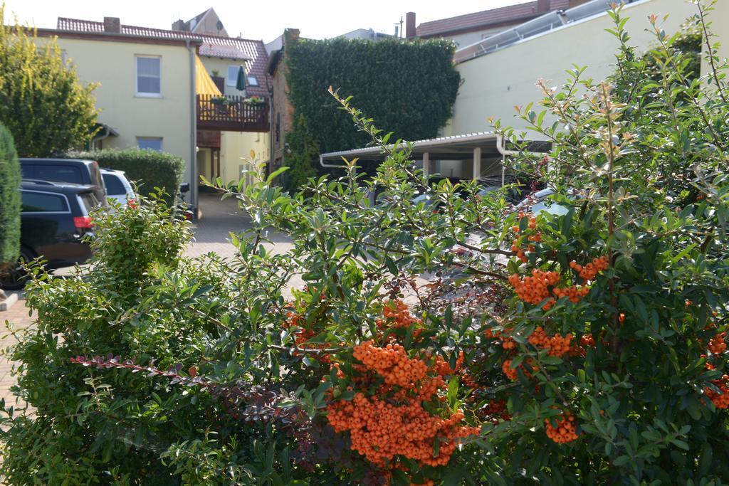 זנפטנברג Hotel-Pension Mandy - Adults Only מראה חיצוני תמונה