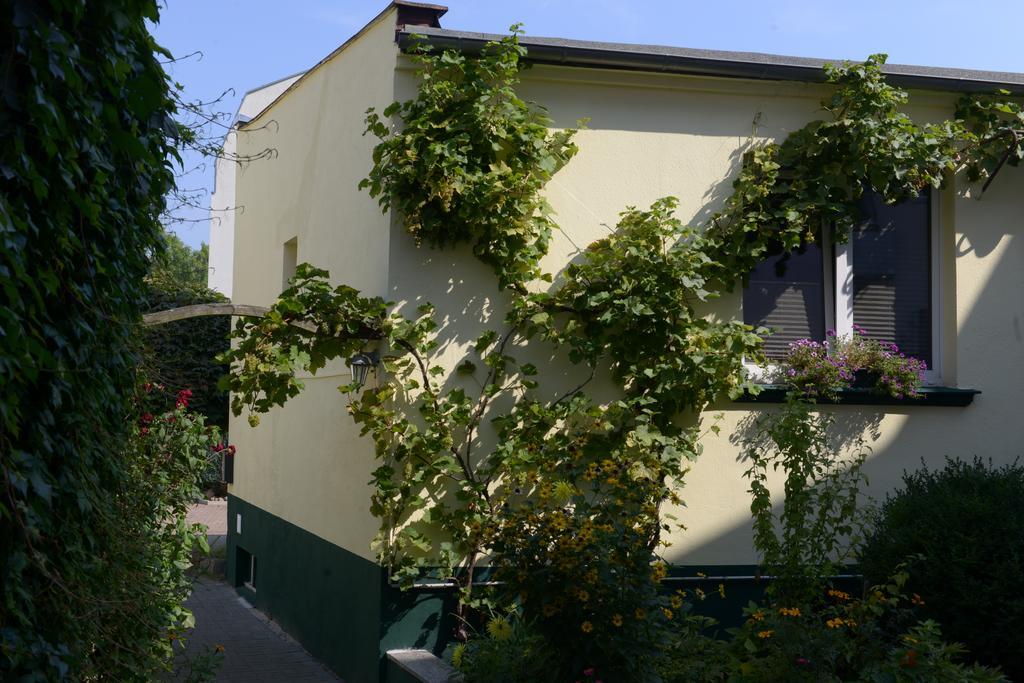 זנפטנברג Hotel-Pension Mandy - Adults Only מראה חיצוני תמונה